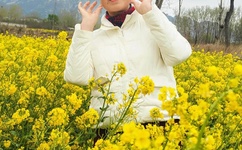 大道朝天动漫免费观看完整版